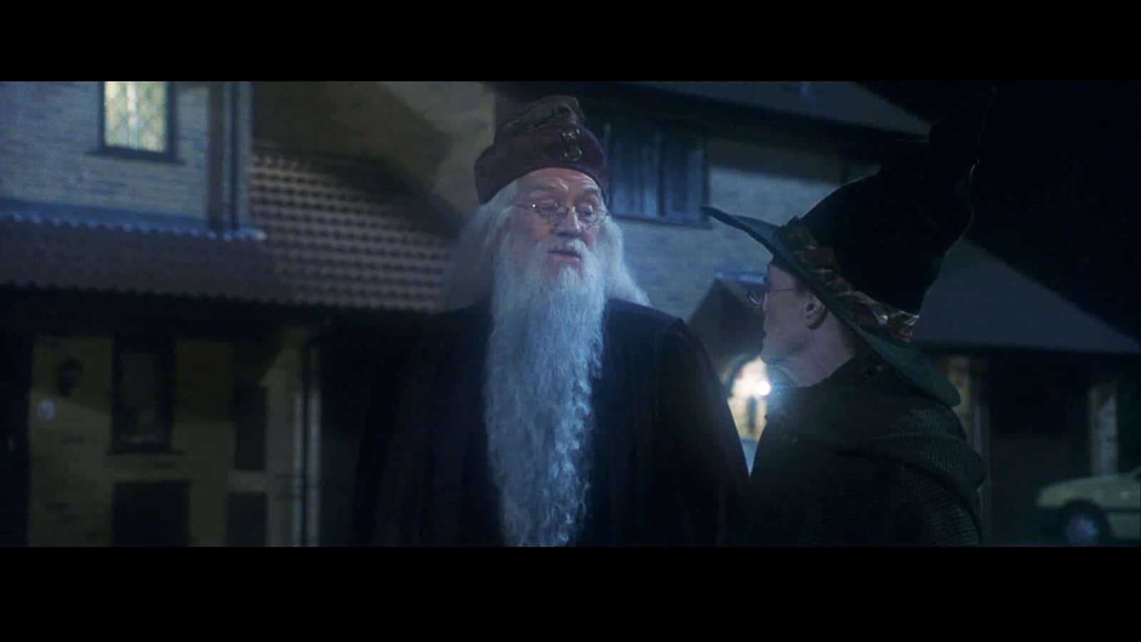 Dumbledore Philosophers Stone Quote 04