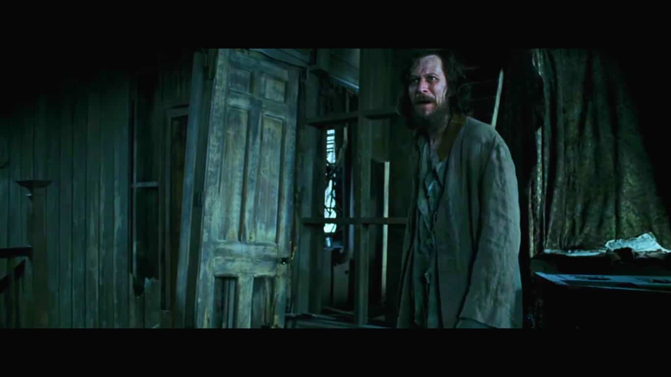 Sirius Prisoner of Azkaban Angry 02
