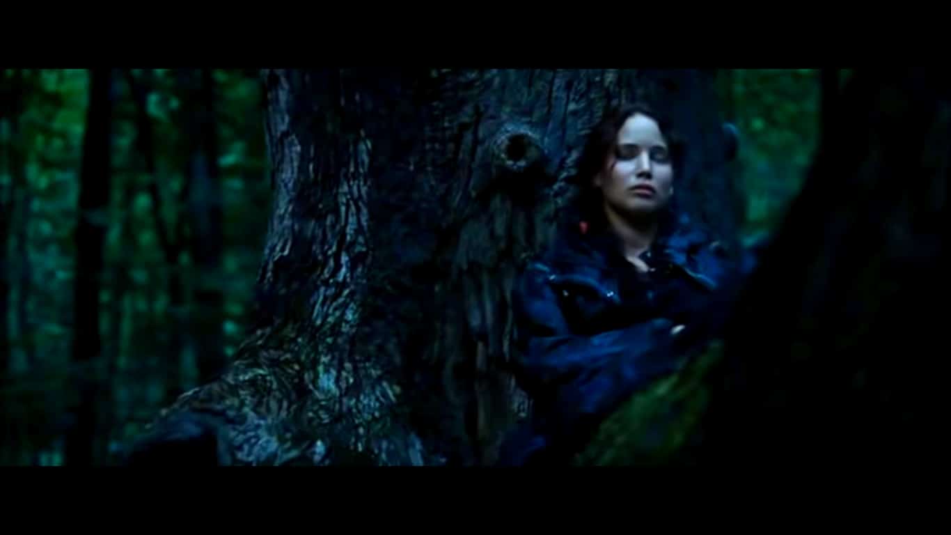 Katniss in a Tree